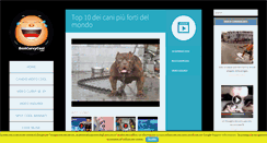 Desktop Screenshot of bestcurvycool.com